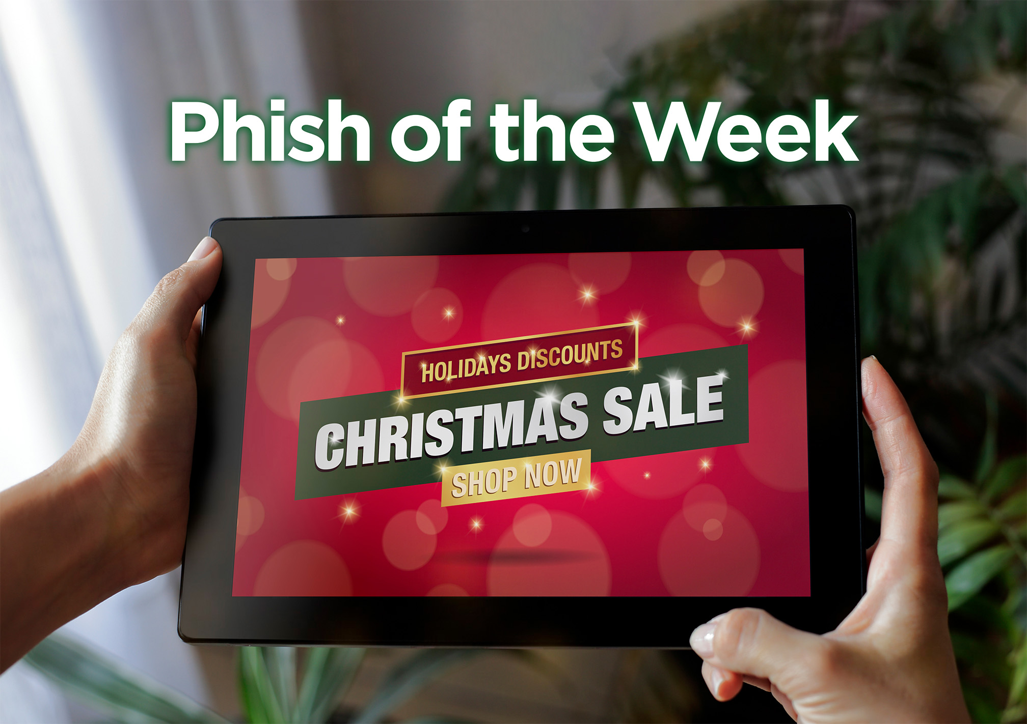 Dec 1 Phish of the week