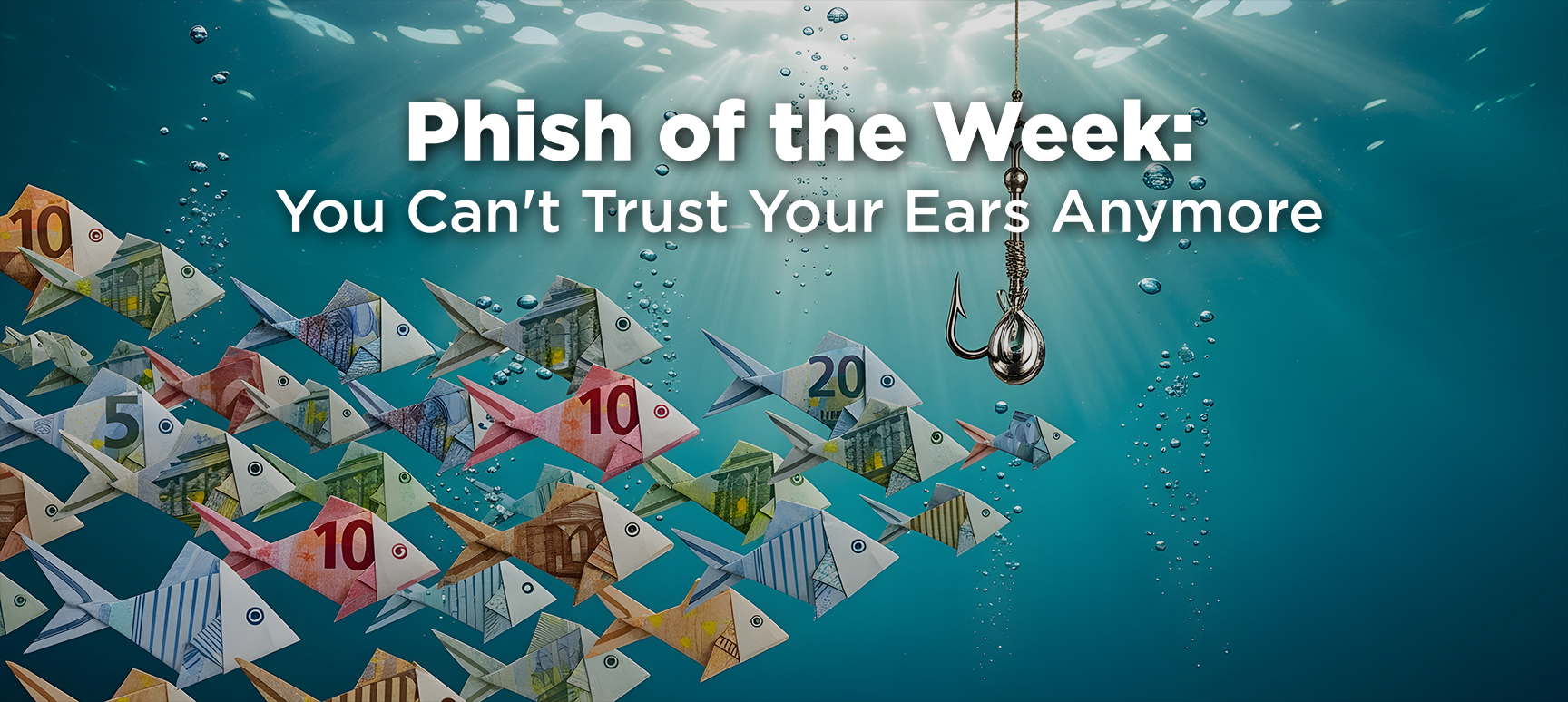 July A Phish of the Week